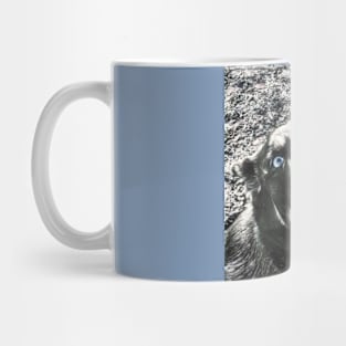 Husky Shepard Dog Mug